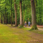 Landschaft mit langem Gedächtnis Landschaft mit langem Gedächtnis