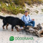 Die 10 beliebtesten Urlaubsorte für Hundehalter Die 10 beliebtesten Urlaubsorte für Hundehalter